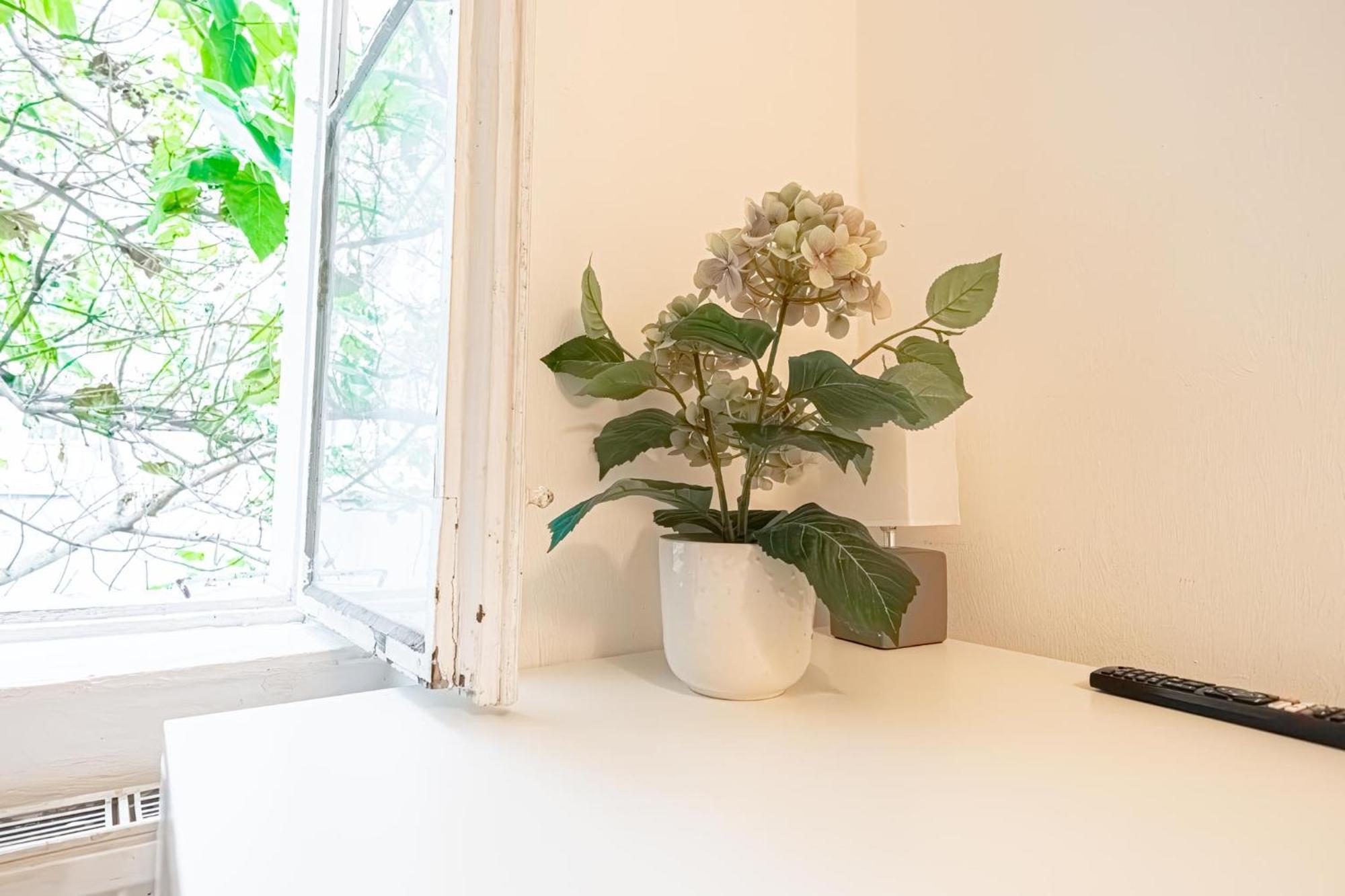 Central Belvedere 3Br Shared Apartment - 12 Min From City Center Viena Exterior foto